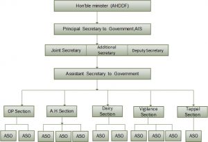 Organogram of Animal Husbandry and Fisheries Department